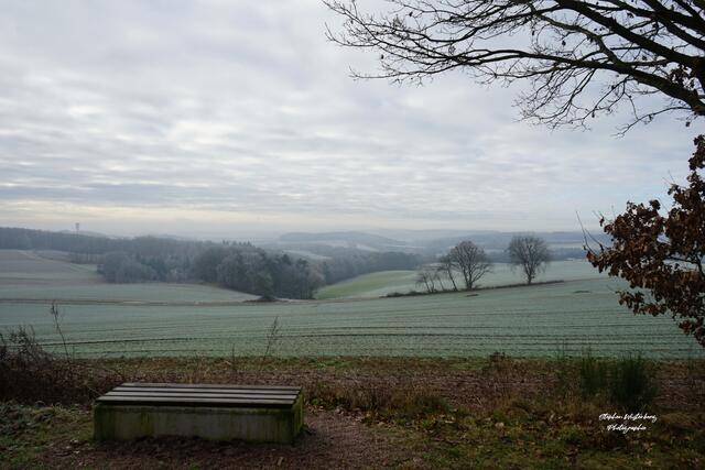 Nebliger Morgen mit Raureif am Heuberg bei Wartenberg-Rohrbach mit Blick Richtung Kaiserslautern | Foto: Stephen Wüstenberg Photographie - Wartenberg-Rohrbach