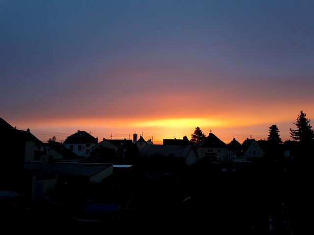 Sonnenaufgang über Limburgerhof  | Foto: Soraja Eydam