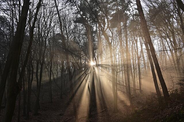 Dieser Moment, wenn du um die Kurve fährst uuund: ❤️❤️❤️
Gesehen und erlebt auf dem Weg hinauf zum Hambacher Schloss | Foto: Ilona Schäfer