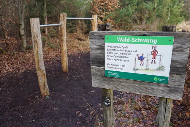 Waldlehrpfad Taubensuhl | Foto: Markus Pacher