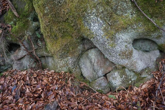 In stattliche Bäume eingeschlossene Mauerreste  | Foto: Markus Pacher