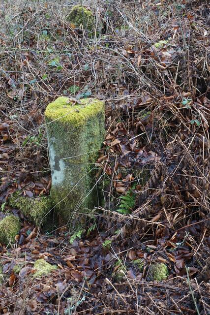 Ein alter Türpfosten | Foto: Markus Pacher