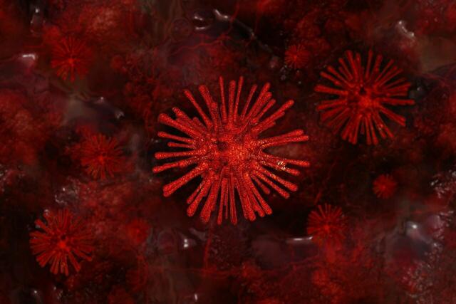 Coronavirus Fallzahlen und Inzidenz im Donnersbergkreis am 2. Februar 2022 | Foto: Geralt/Pixabay