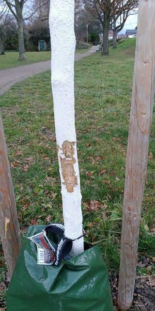 Die Gemeindeverwaltung bittet die Bevölkerung um Aufmerksamkeit um diesen Fällen sinnloser Zerstörungswut Einhalt gebieten zu können. | Foto: Gemeindeverwaltung Bobenheim-Roxheim