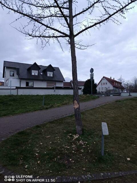 Die Polizei in Frankenthal erreichen Sie unter der Rufnummer 06233-313-0, die Ordnungsbehörde der Gemeinde Bobenheim-Roxheim unter der Rufnummer 06239-939-1104 oder -1105. | Foto: Gemeindeverwaltung Bobenheim-Roxheim