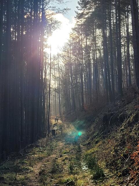 Foto: Markus Pacher
