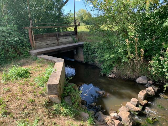 Seit dem Mittelalter werden entlang der Queich die Wiesen durch ein ausgeklügeltes System bewässert | Foto: Franz-Walter Mappes