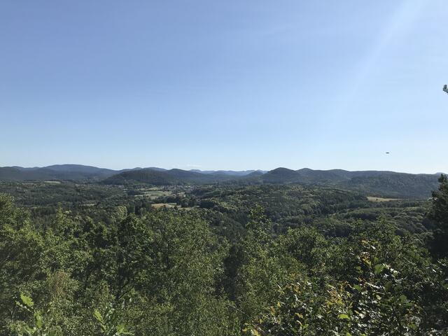 Wasgaublick im Juni | Foto: B. Bender