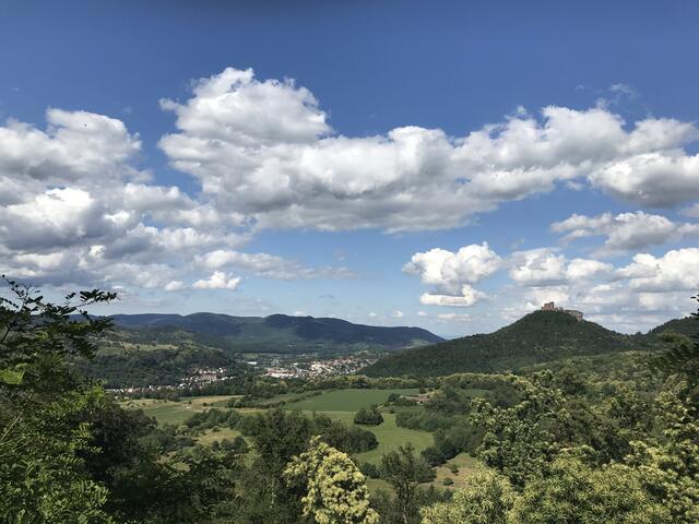 Blick auf Burg Trifels bei freundlichem Wetter | Foto: B. Bender