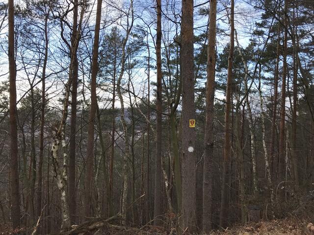 Ein kleiner Teil des Rundweges verläuft auf dem Richard-Löwenherz-Weg | Foto: B. Bender