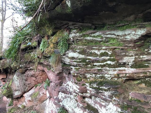 Abstieg Richtung Trifelsruhe | Foto: B. Bender