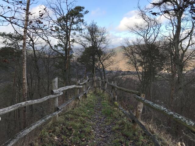 Blick nach vorne | Foto: B. Bender