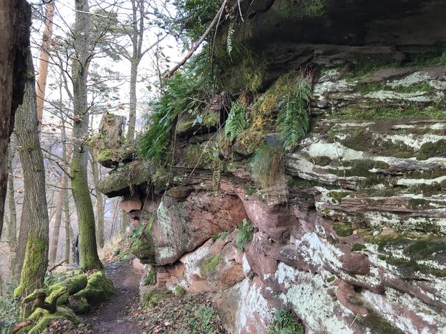 Immerhin - ein bisschen grün | Foto: B. Bender
