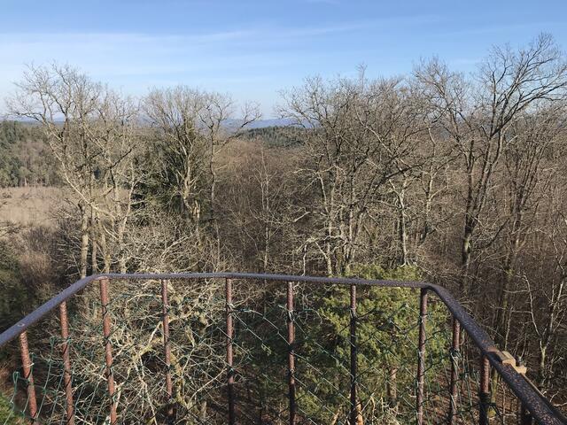 Und ein kleiner Balkon | Foto: B. Bender