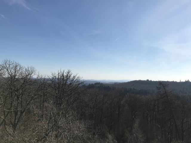 Blick in die Ferne | Foto: B. Bender