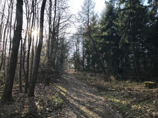 . . .  rechts davon geht es den kurzen Anstieg hinauf | Foto: B. Bender