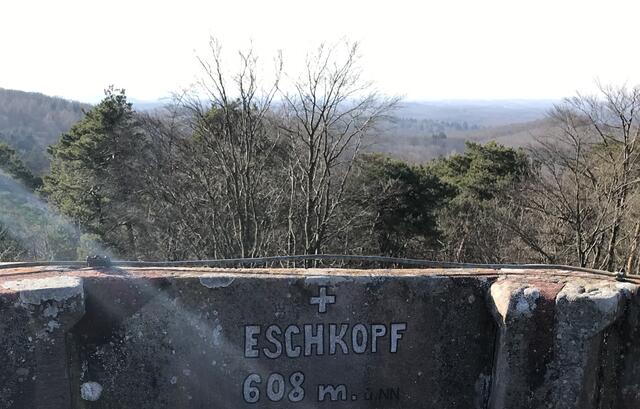 Leider stören einige hohe Bäume die grandiose Aussicht | Foto: B. Bender