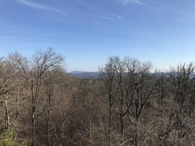 Wenig grün, dafür aber himmelblau | Foto: B. Bender