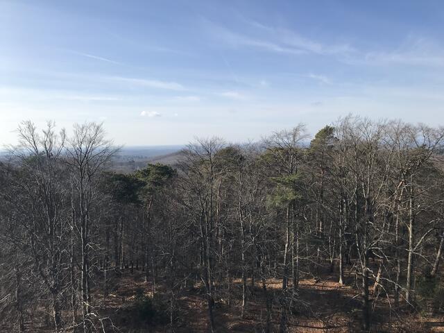 Der Ausblick kann sich sehen lassen | Foto: B. Bender