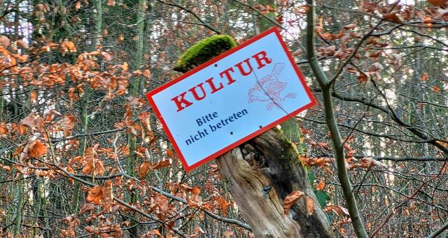 Buchenkultur im Bienwald  | Foto: A. Abt