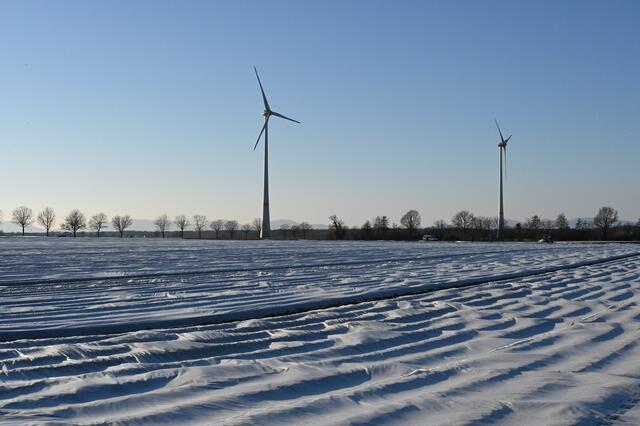 Felder unter Anzuchtfolie - Februar in der Gemarkung Hatzenbühl
 | Foto: A. Abt