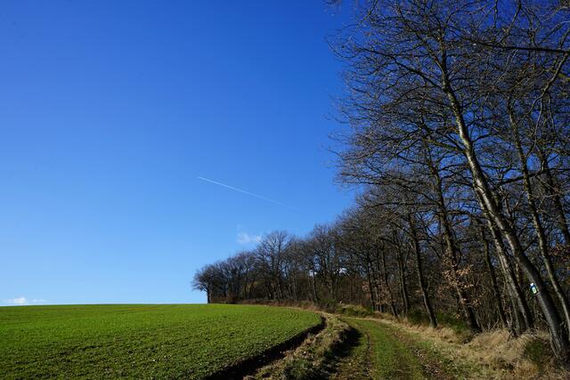 Impression auf dem PWV-Wanderweg bei Schweisweiler/Imsweiler
Perspektive Donnersbergerland
 | Foto: Stephen Wüstenberg Photographie - Wartenberg-Rohrbach