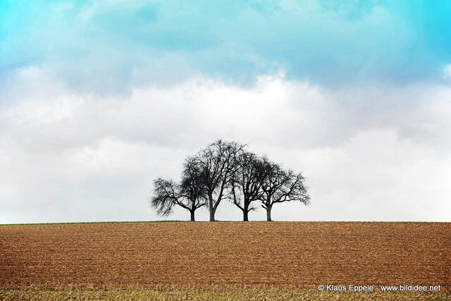 Foto: Klaus Eppele