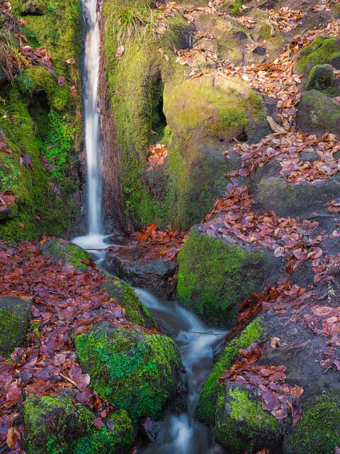 Wasserfall am Hilschweiher bei Edenkoben | Foto: Photo Ulrich Mueller