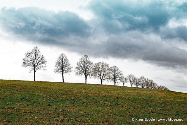 Foto: Klaus Eppele