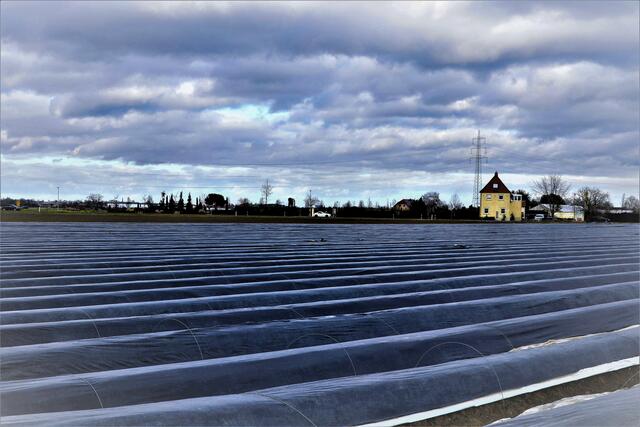 Die Bauern sind fleißig | Foto: Soraya Eydam