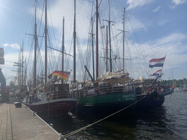 Hanse Sail Hafen Rostock | Foto: Franz-Walter Mappes