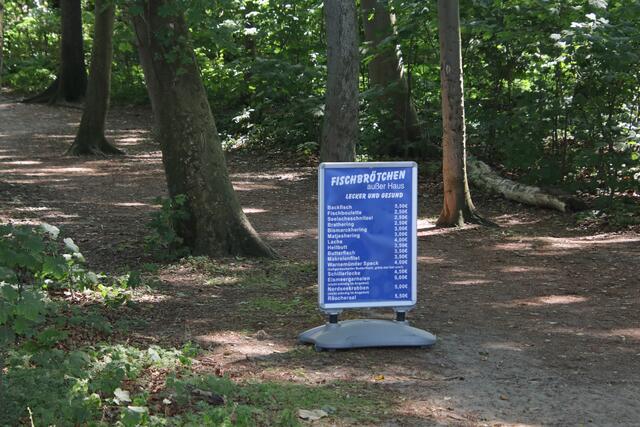 Irgendwo ist immer eine Waldwirtschaft zu finden | Foto: Franz-Walter Mappes