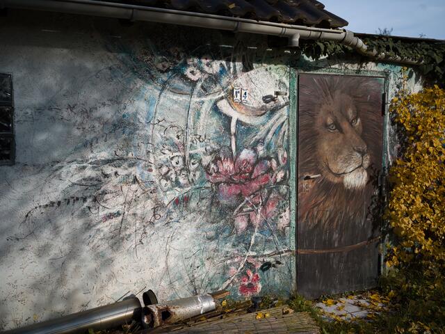 PeKo | Foto: Peter König