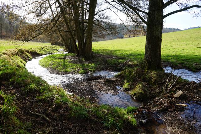 Frühlingsidylle Wambacherhof
Falkenstein/Winnweiler | Foto: Stephen Wüstenberg Photographie - Wartenberg-Rohrbach
