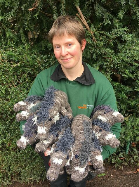 Fr. Koßmann ist ZGAP-Mitglied und Tierpflegerin der Visayas-Pustelschweine im Landauer Zoo | Foto: ZGAP e.V.  