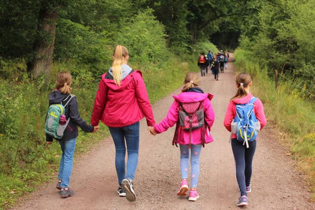 Ruhe und Erholung im Pfälzerwald | Foto: Evangelische Jugendzentrale Bad Dürkheim
