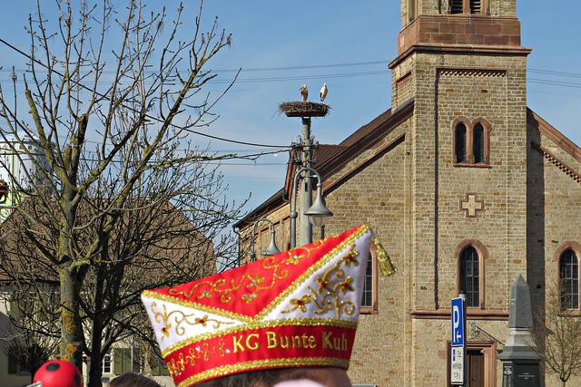 Die Störche gucken etwas irritiert. Bunte Kuh? Wo? | Foto: Brigitte Melder