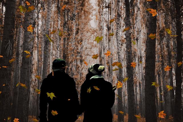 Beim DAV stehen eine Reinigungsaktion und eine Wanderung auf dem Programm | Foto: ljcor/pixabay