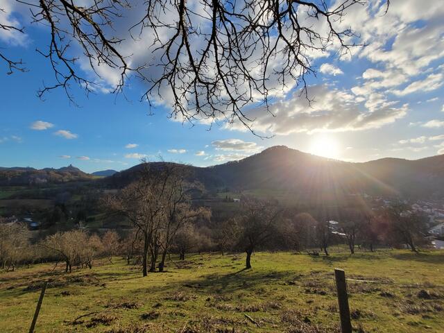 Abendstimmung in der schönen Südpfalz | Foto: Markus Pacher