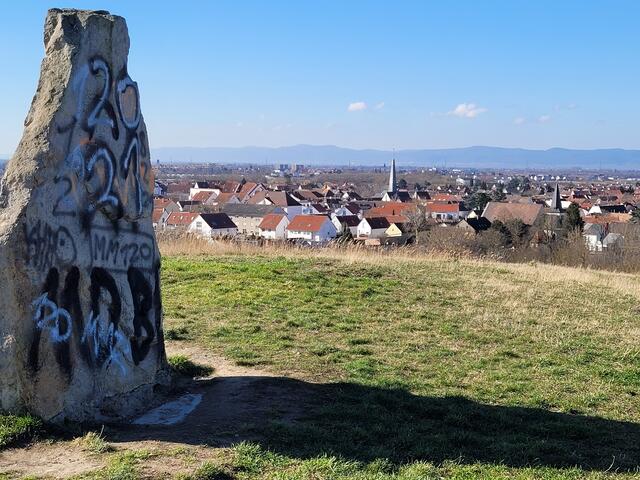 Auf dem 125 Meter hohen Michaelsberg, ein begrünter, von Menschen geschaffener Schuttberg, höchste Erhebung von Ludwigshafen | Foto: Markus Pacher