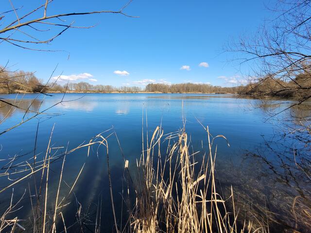 Jägerweiher im Maudacher Bruch | Foto: Markus Pacher