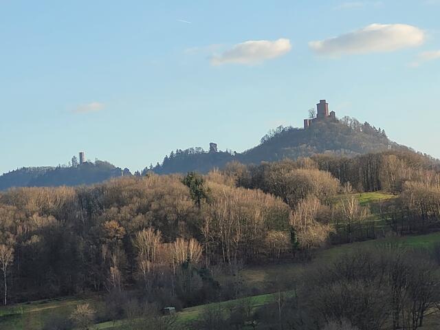 Blick zum mittelalterlichen Dreigestirn Trifels - Anebos - Münz | Foto: Markus Pacher