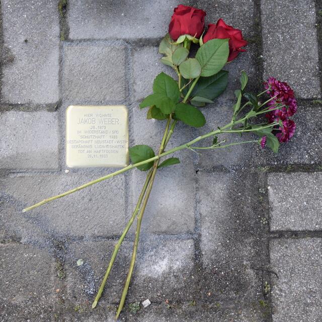 Stolperstein Turnhallenstraße | Foto: Gemeinde Mutterstadt