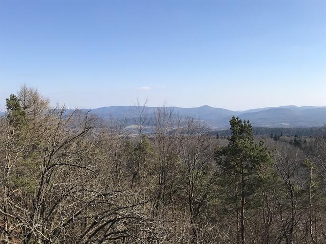 Hier weniger Weitsicht durch hohe Bäume | Foto: B. Bender