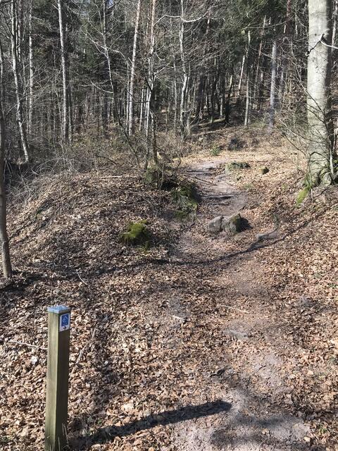 Hier geht's hinauf zum Eybergturm | Foto: B. Bender