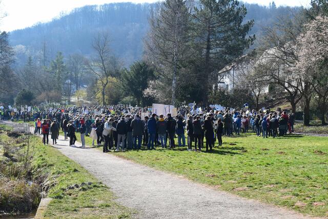 Die Demo fand große Resonanz | Foto: B.Bender