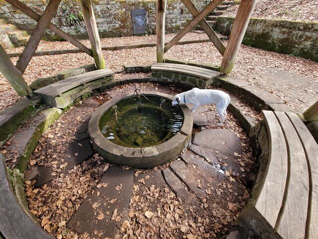 Rehbergquelle | Foto: Markus Pacher