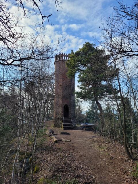Rehbergturm | Foto: Markus Pacher