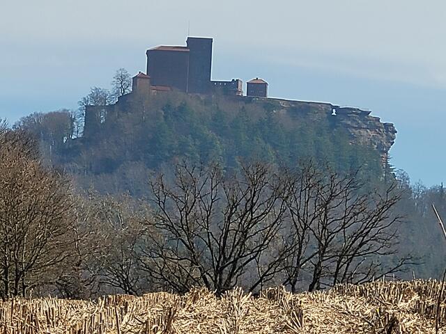 Burg Trifels | Foto: Markus Pacher