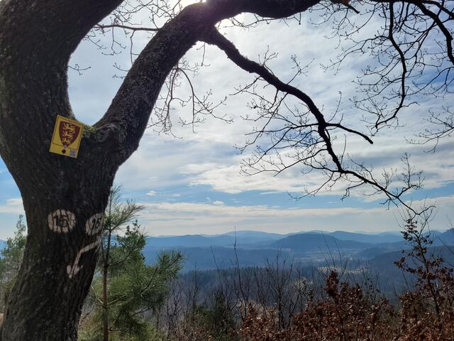 Herrliche Fernblicke in die Vogesen | Foto: Markus Pacher